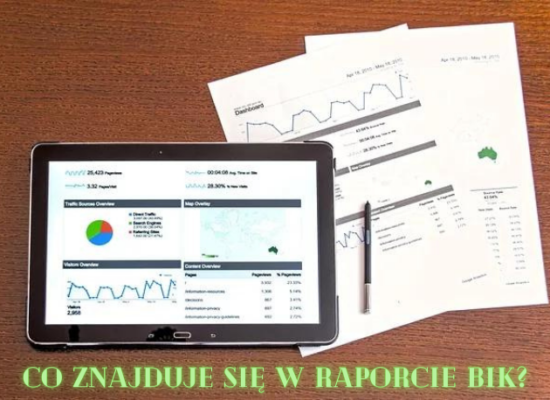 Co znajduje się w raporcie BIK?