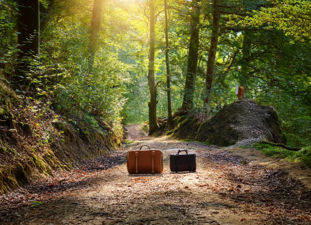 kiedy przejść na normalnie zarejestrowaną firmę?